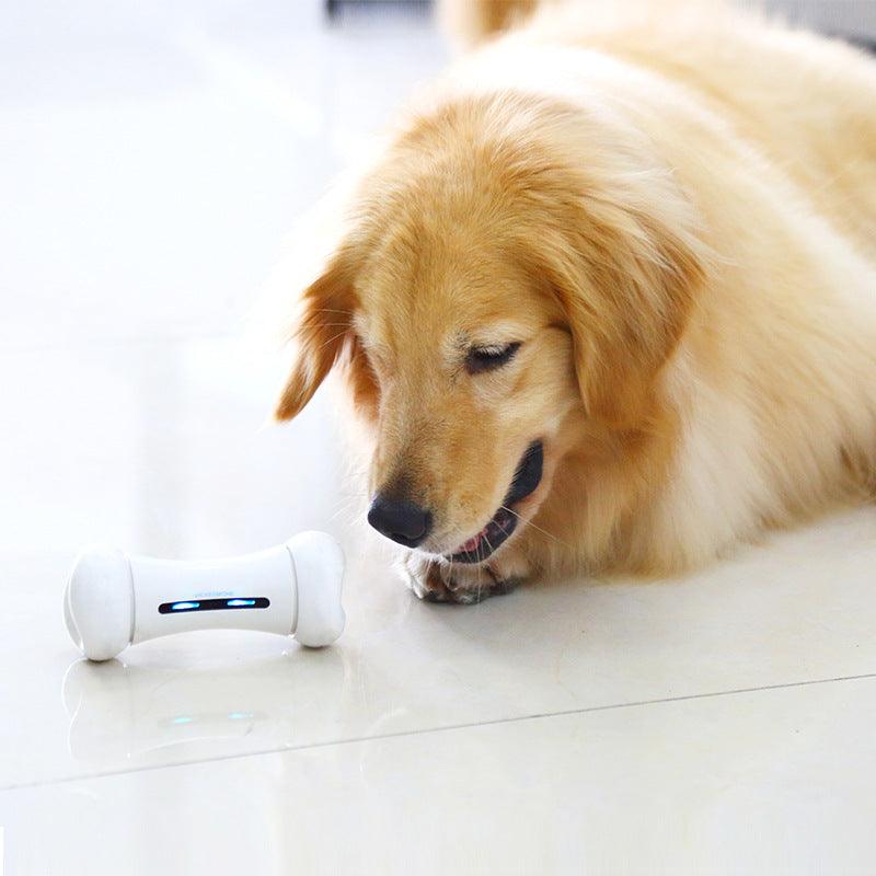 Wir stellen vor: The Smart Chew Buddy – das ultimative interaktive Spielzeug für Ihren pelzigen Freund!