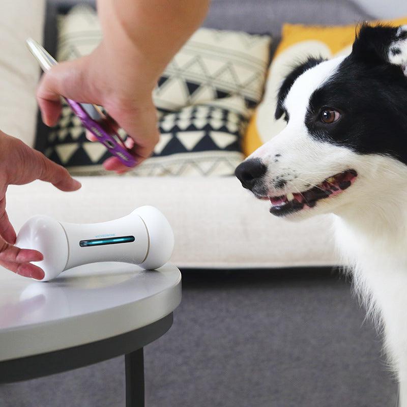 Découvrez le Smart Chew Buddy - Le jouet interactif ultime pour votre compagnon à quatre pattes !