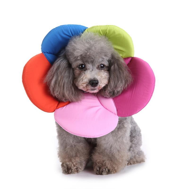 Der Snugglesafe Pet Haven