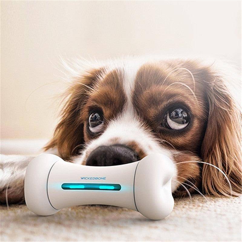 Wir stellen vor: The Smart Chew Buddy – das ultimative interaktive Spielzeug für Ihren pelzigen Freund!