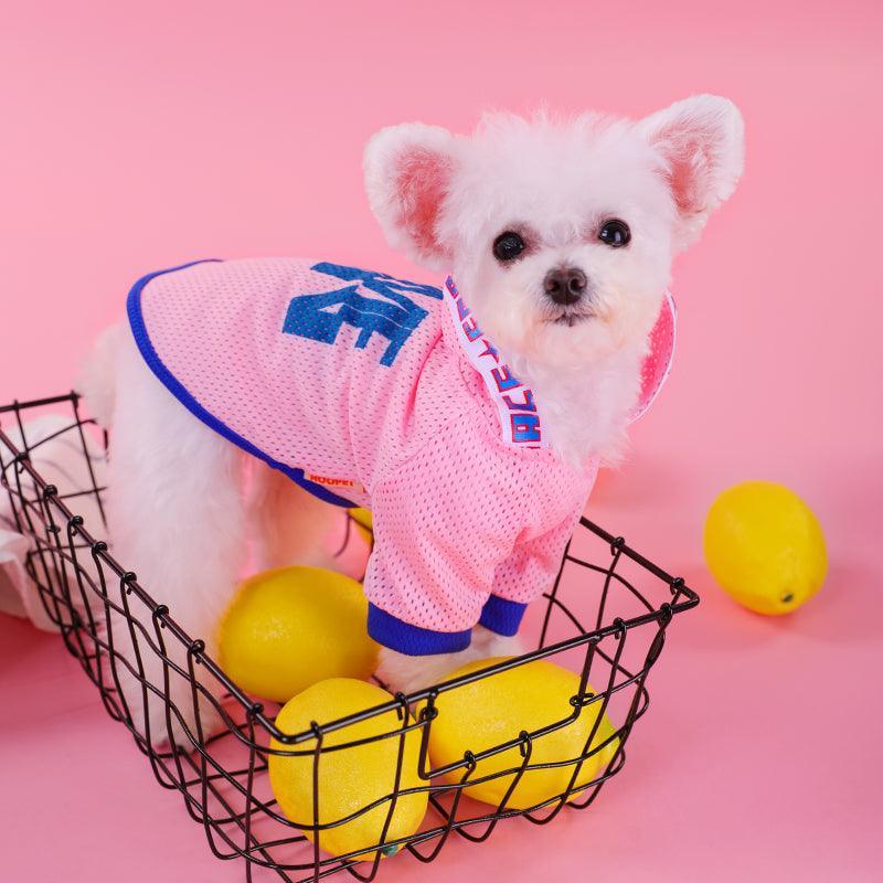 Atmungsaktive Mesh-Hunde-Kapuzenweste - Stylisches Sommer-Shirt für kleine Hunde